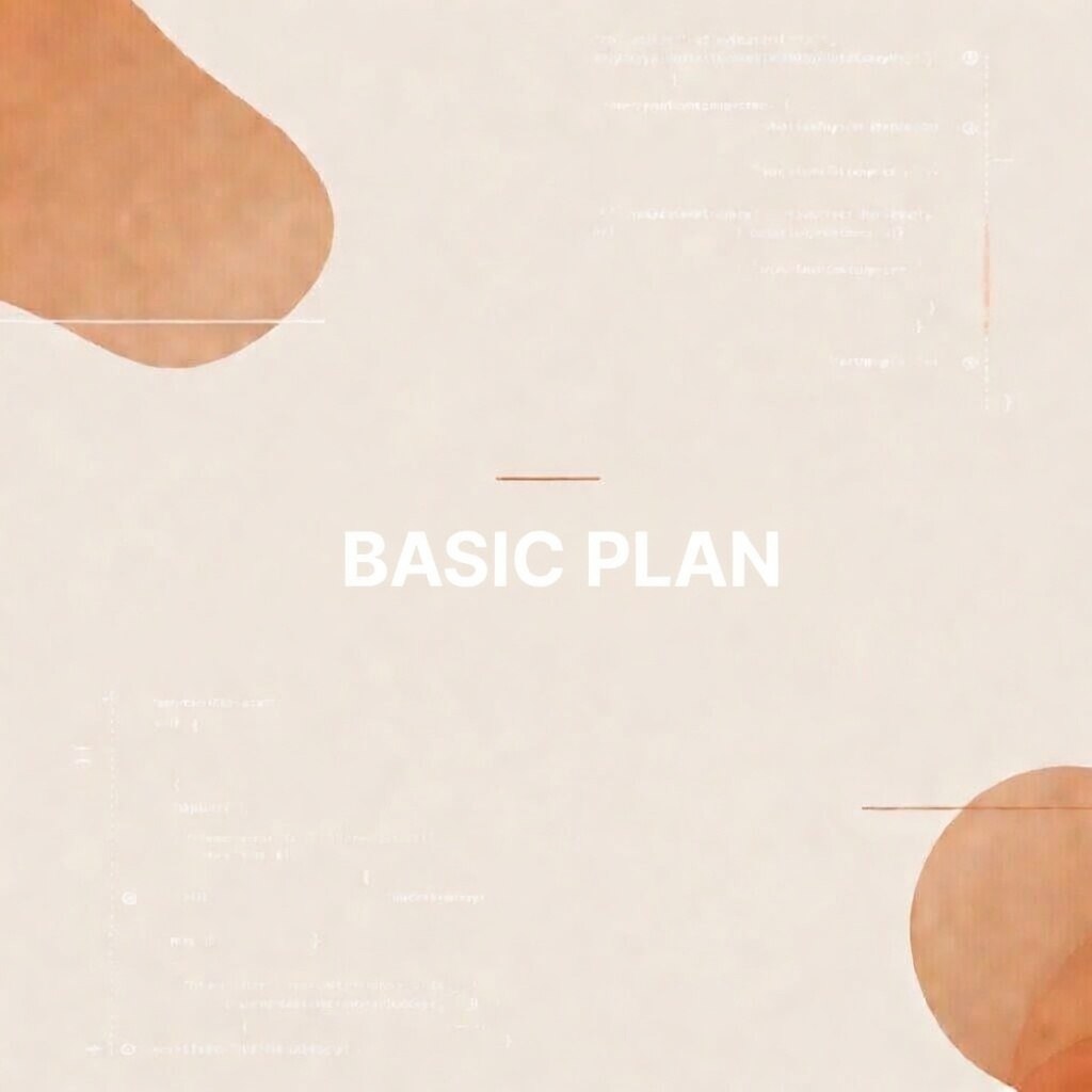Basic+ Plan